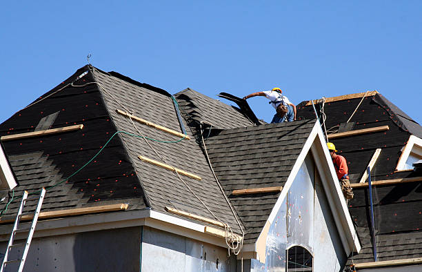 Best Storm Damage Roof Repair  in Bridgeport, AL