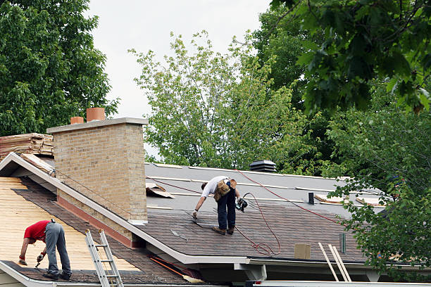 Best Metal Roofing Contractor  in Bridgeport, AL