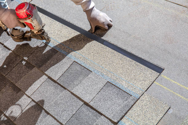 Professional Roofing Contractor in Bridgeport, AL